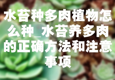水苔种多肉植物怎么种_水苔养多肉的正确方法和注意事项