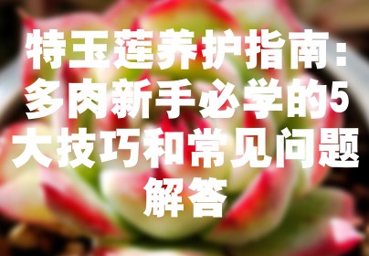 特玉莲养护指南：多肉新手必学的5大技巧和常见问题解答