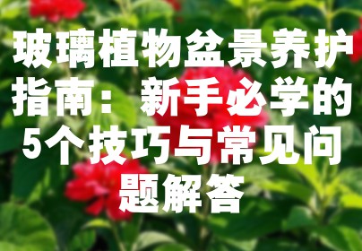玻璃植物盆景养护指南：新手必学的5个技巧与常见问题解答