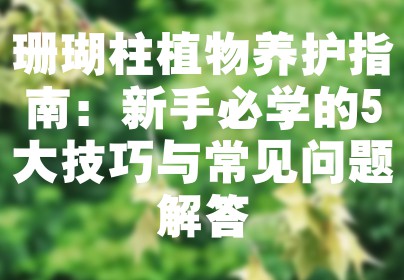 珊瑚柱植物养护指南：新手必学的5大技巧与常见问题解答