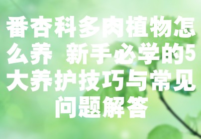 番杏科多肉植物怎么养 新手必学的5大养护技巧与常见问题解答