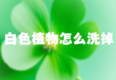 白色植物怎么洗掉