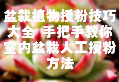 盆栽植物授粉技巧大全 手把手教你室内盆栽人工授粉方法