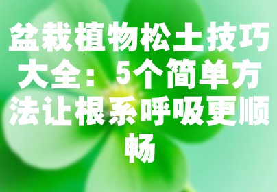 盆栽植物松土技巧大全：5个简单方法让根系呼吸更顺畅