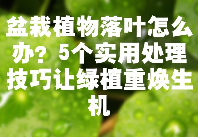 盆栽植物落叶怎么办？5个实用处理技巧让绿植重焕生机