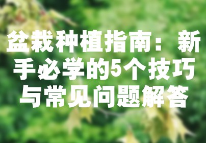 盆栽种植指南：新手必学的5个技巧与常见问题解答