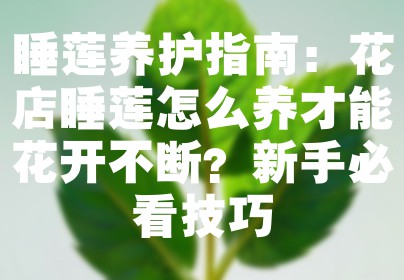 睡莲养护指南：花店睡莲怎么养才能花开不断？新手必看技巧
