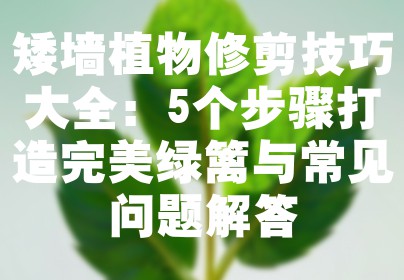 矮墙植物修剪技巧大全：5个步骤打造完美绿篱与常见问题解答