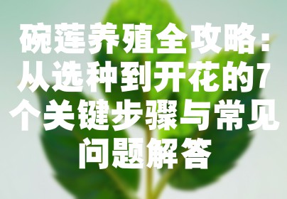 碗莲养殖全攻略：从选种到开花的7个关键步骤与常见问题解答