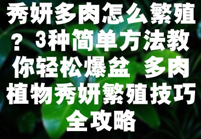秀妍多肉怎么繁殖？3种简单方法教你轻松爆盆 多肉植物秀妍繁殖技巧全攻略