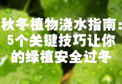 秋冬植物浇水指南：5个关键技巧让你的绿植安全过冬