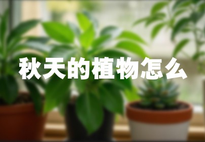 秋天的植物怎么