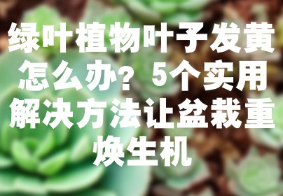 绿叶植物叶子发黄怎么办？5个实用解决方法让盆栽重焕生机