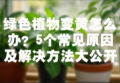 绿色植物变黄怎么办？5个常见原因及解决方法大公开