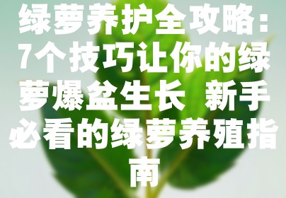 绿萝养护全攻略：7个技巧让你的绿萝爆盆生长 新手必看的绿萝养殖指南