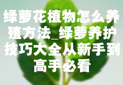 绿萝花植物怎么养殖方法_绿萝养护技巧大全从新手到高手必看
