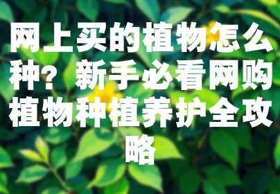 网上买的植物怎么种？新手必看网购植物种植养护全攻略