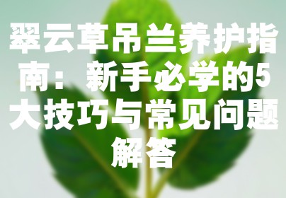 翠云草吊兰养护指南：新手必学的5大技巧与常见问题解答