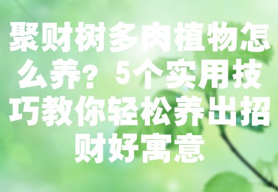 聚财树多肉植物怎么养？5个实用技巧教你轻松养出招财好寓意