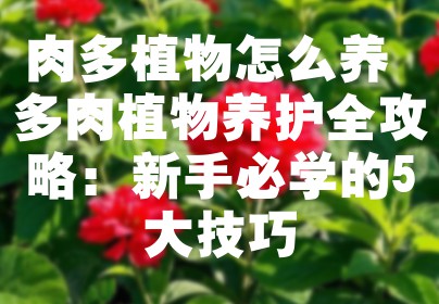 肉多植物怎么养 多肉植物养护全攻略：新手必学的5大技巧