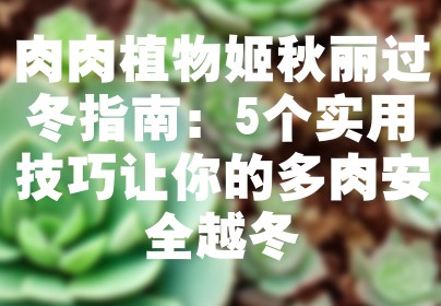 肉肉植物姬秋丽过冬指南：5个实用技巧让你的多肉安全越冬