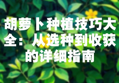 胡萝卜种植技巧大全：从选种到收获的详细指南
