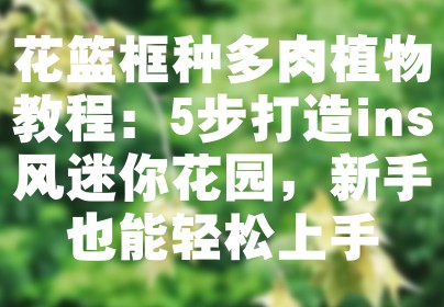 花篮框种多肉植物教程：5步打造ins风迷你花园，新手也能轻松上手