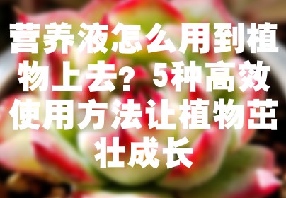 营养液怎么用到植物上去？5种高效使用方法让植物茁壮成长