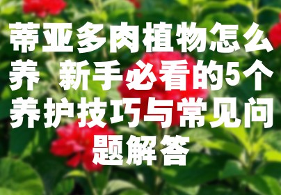 蒂亚多肉植物怎么养 新手必看的5个养护技巧与常见问题解答
