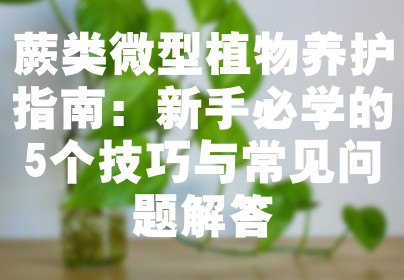 蕨类微型植物养护指南：新手必学的5个技巧与常见问题解答