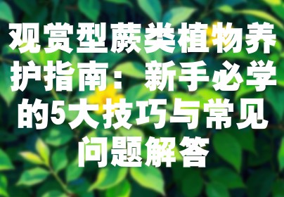 观赏型蕨类植物养护指南：新手必学的5大技巧与常见问题解答