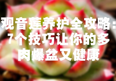观音莲养护全攻略：7个技巧让你的多肉爆盆又健康