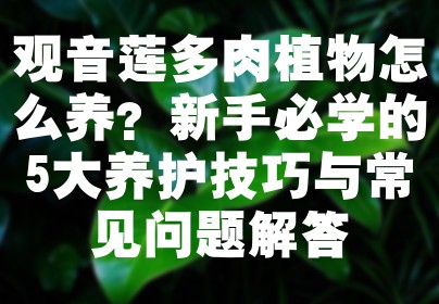 观音莲多肉植物怎么养？新手必学的5大养护技巧与常见问题解答