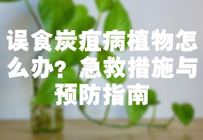 误食炭疽病植物怎么办？急救措施与预防指南