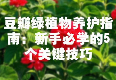 豆瓣绿植物养护指南：新手必学的5个关键技巧