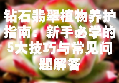 钻石翡翠植物养护指南：新手必学的5大技巧与常见问题解答