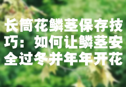 长筒花鳞茎保存技巧：如何让鳞茎安全过冬并年年开花