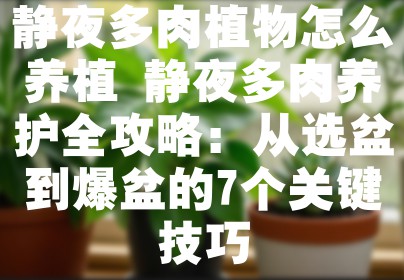 静夜多肉植物怎么养植 静夜多肉养护全攻略：从选盆到爆盆的7个关键技巧