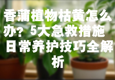 香蒲植物枯黄怎么办？5大急救措施+日常养护技巧全解析