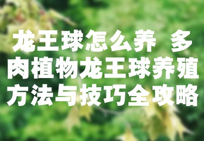 龙王球怎么养 多肉植物龙王球养殖方法与技巧全攻略