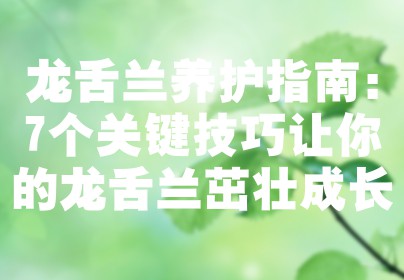 龙舌兰养护指南：7个关键技巧让你的龙舌兰茁壮成长